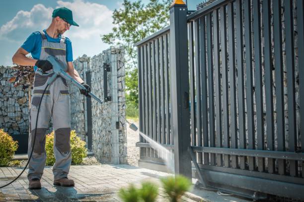 Best Solar Panel Cleaning  in Rockford, MN