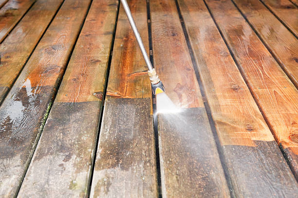 Best Gutter Cleaning  in Rockford, MN